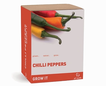 Marie Curie Cancer Care chilli plant.jpeg Marie Curie Cancer Care chilli plant.jpeg